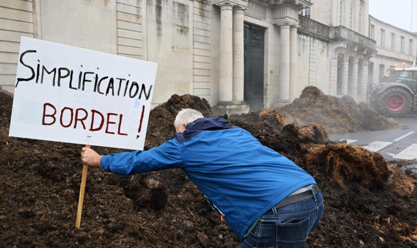 Face à la colère des agriculteurs, Annie Genevard dévoile ses mesures contre « les boulets » des normes