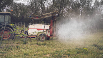 Colère des agriculteurs : Anses et OFB, le gouvernement cible les «boulets» des normes et lance des «simplifications»