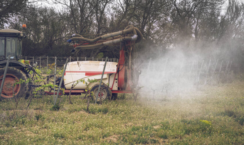 Colère des agriculteurs : Anses et OFB, le gouvernement cible les «boulets» des normes et lance des «simplifications»