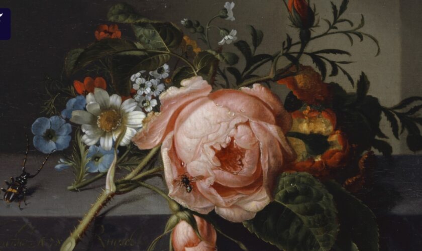 Blumenstillleben von Rachel Ruysch: Der vergängliche Augenblick der Blütenfülle