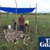 4,000-year-old canals used for fishing by Maya predecessors discovered in Belize