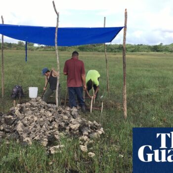 4,000-year-old canals used for fishing by Maya predecessors discovered in Belize