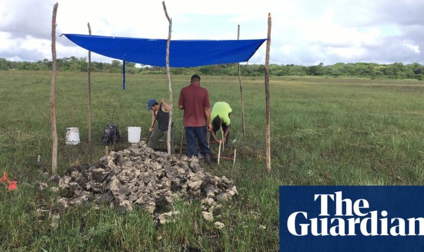 4,000-year-old canals used for fishing by Maya predecessors discovered in Belize