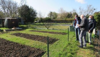 A Fleury-Mérogis, un collège va pousser sur les jardins familiaux