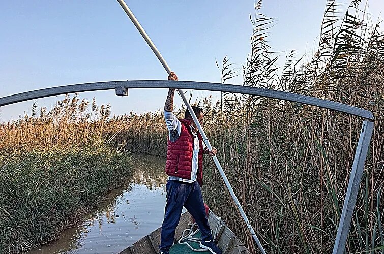 A bordo de una barca con los pescadores arruinados que buscan cadáveres en La Albufera: "Hemos encontrado muchas cosas que jamás se han visto por estas aguas"