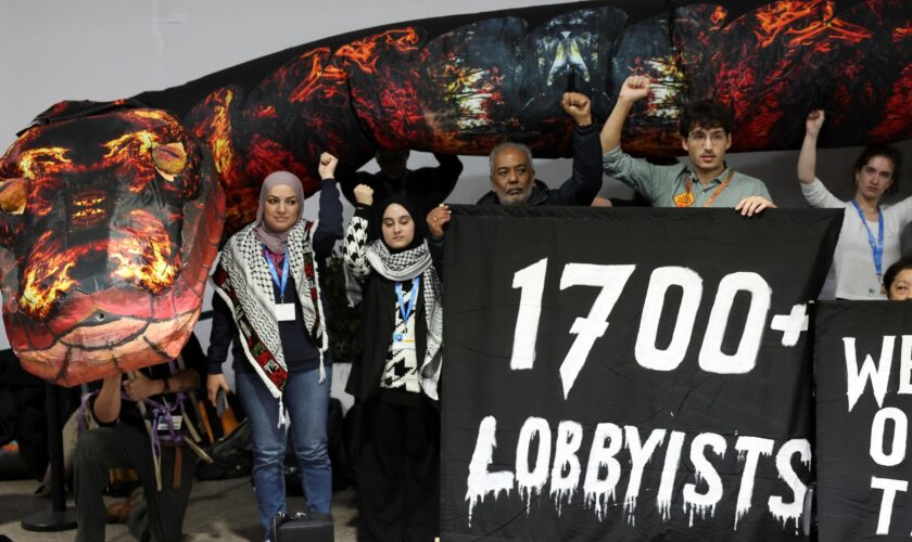 À la COP29, des militants écologistes ont apporté un « serpent géant », voici ce qu’il représente