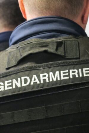 Après un accident de voiture, elle cache la drogue en forêt… sous l’œil de chasseurs, qui la dénoncent aux gendarmes