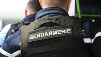 Après un accident de voiture, elle cache la drogue en forêt… sous l’œil de chasseurs, qui la dénoncent aux gendarmes