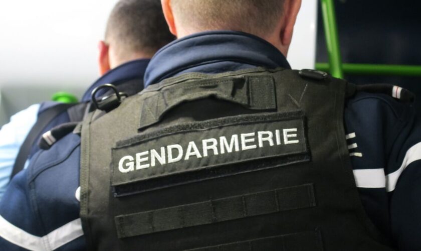 Après un accident de voiture, elle cache la drogue en forêt… sous l’œil de chasseurs, qui la dénoncent aux gendarmes