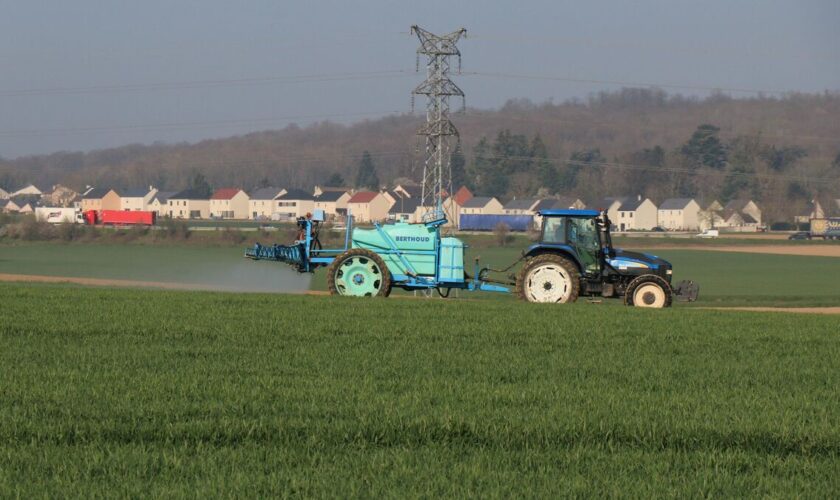 Artificialisation des sols en Seine-et-Marne : sanctuariser des terres naturelles et agricoles suscite le débat