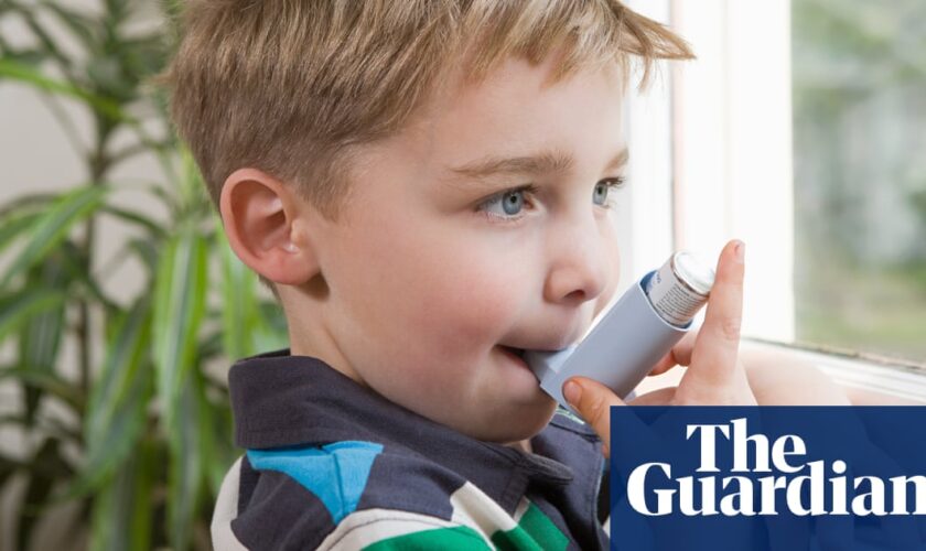 Asthma linked to memory issues in children, research suggests