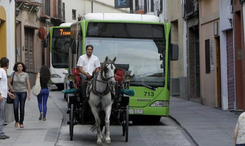 Aucorsa avisa: estas son las líneas de autobús que recuperan su recorrido original