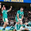 Ireland players celebrate at the final whistle