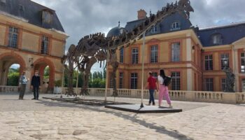 Bientôt l’heure de vérité pour Vulcain, le dinosaure géant vendu aux enchères à Dampierre-en-Yvelines