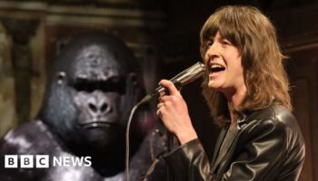 Blossoms on the gorilla that helped them reach 'the peak of our powers'