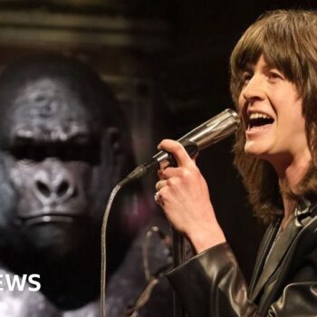 Blossoms on the gorilla that helped them reach 'the peak of our powers'