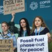 COP29: Experts call for reform in climate action process