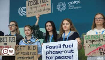 COP29: Experts call for reform in climate action process