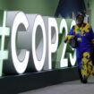 COP29: World agrees to $300bn deal for developing countries