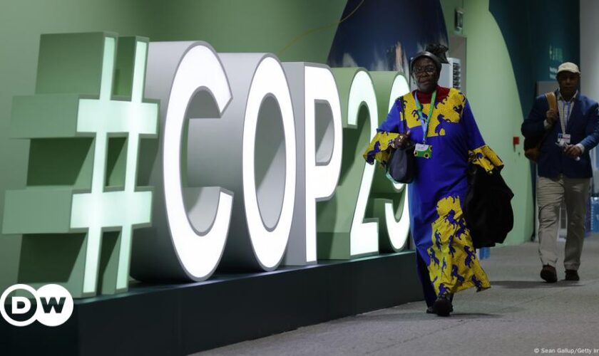 COP29: World agrees to $300bn deal for developing countries