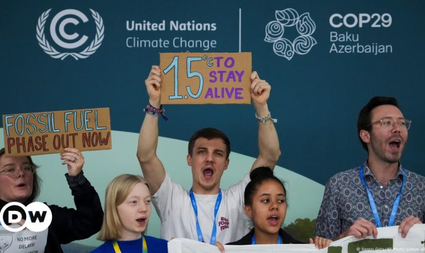 COP29 closes on promise to generate 'at least' $300 billion in climate funding