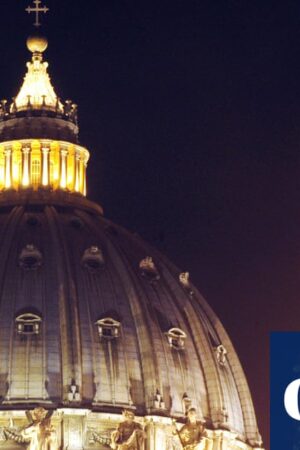 Campaigners in Italy urge pope to stop ‘sacrifice’ of 200-year-old tree for Xmas