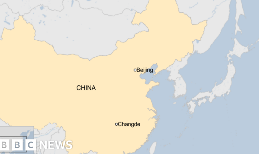 Car driven into crowd outside primary school in China