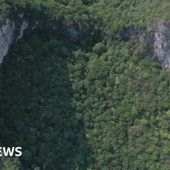 China's giant sinkholes are a tourist hit - but ancient forests inside are at risk