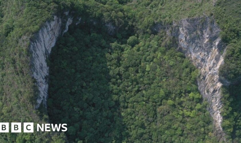 China's giant sinkholes are a tourist hit - but ancient forests inside are at risk