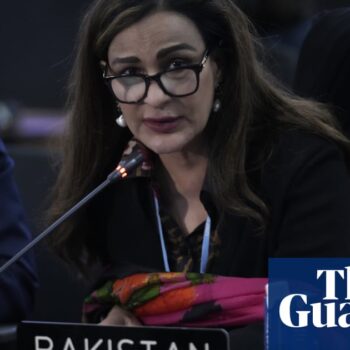 Cop29: ‘We’re here for life and death reasons,’ says ex-climate minister of Pakistan