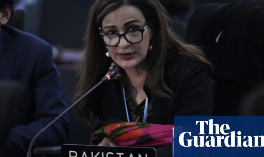 Cop29: ‘We’re here for life and death reasons,’ says ex-climate minister of Pakistan