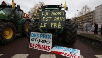 DIRECT. Colère des agriculteurs : la Coordination rurale bloque les camions sur l'A9 dans le sens Espagne-France