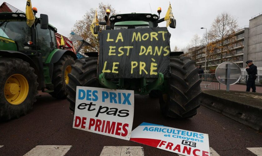 DIRECT. Colère des agriculteurs : la Coordination rurale bloque les camions sur l'A9 dans le sens Espagne-France