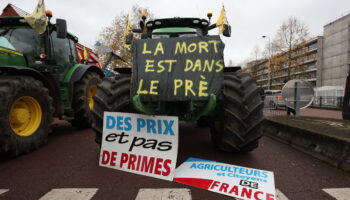 DIRECT. Colère des agriculteurs : la coordination rurale veut bloquer le transport alimentaire dès aujourd'hui