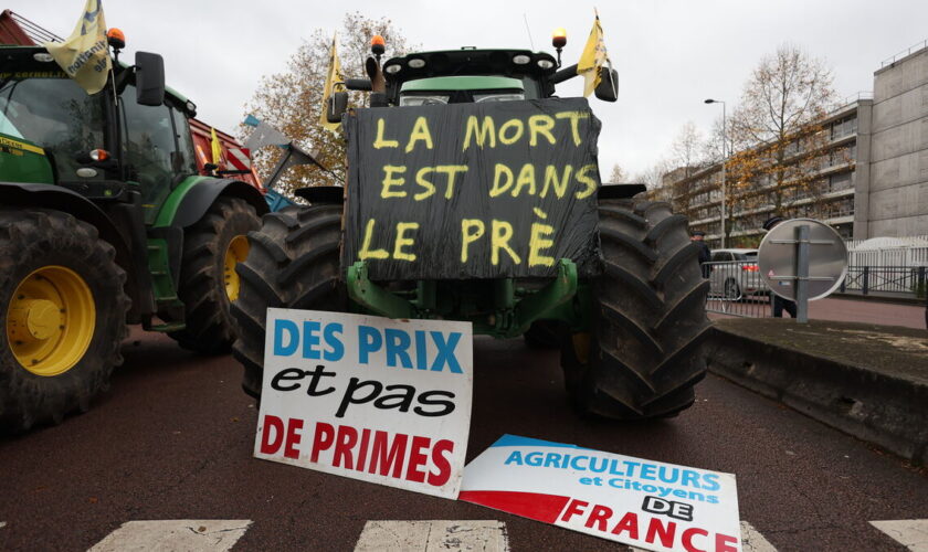 DIRECT. Colère des agriculteurs : la coordination rurale veut bloquer le transport alimentaire dès aujourd'hui