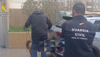 Detenidos cuatro adultos y un menor por el secuestro y asesinato de un hombre que apareció maniatado y quemado en Tenerife