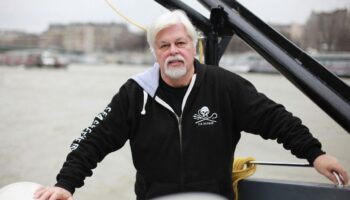 Détention de Paul Watson : Paris décerne la citoyenneté d’honneur au fondateur de Sea Sheperd et réclame sa libération