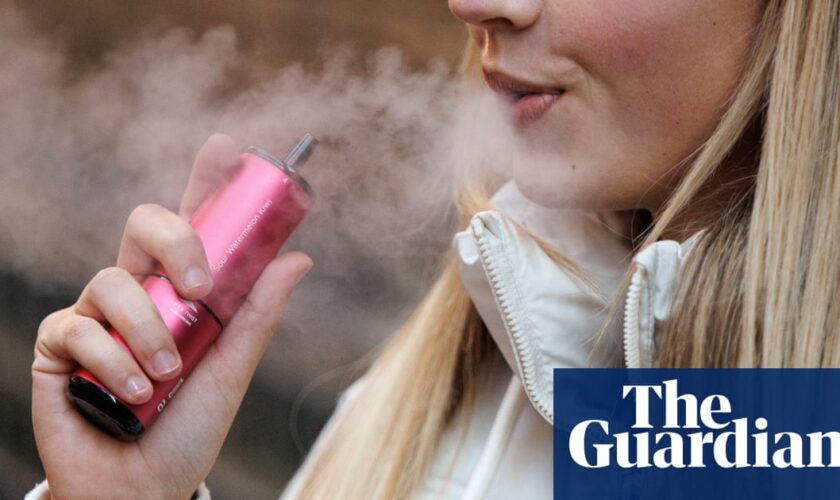 Disposable vapes ban could push some users back to smoking, ministers told