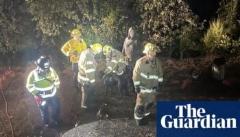 Dog who fell 50ft down abandoned mine shaft rescued by California firefighters