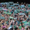 El Betis envía a sus socios una encuesta para «hacerles partícipes de la transformación del estadio Benito Villamarín»