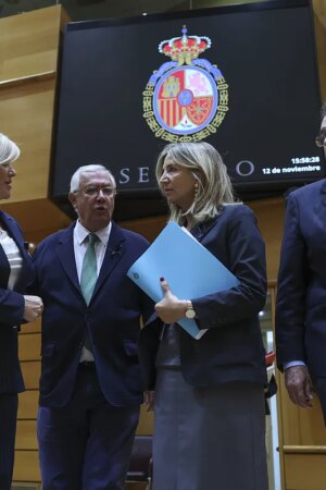 El PP en el Senado insiste en la emergencia nacional para que Sánchez gestione la catástrofe