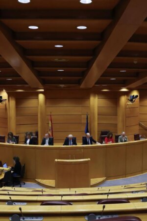 El Senado abre sus puertas para celebrar el 46º aniversario de la Constitución