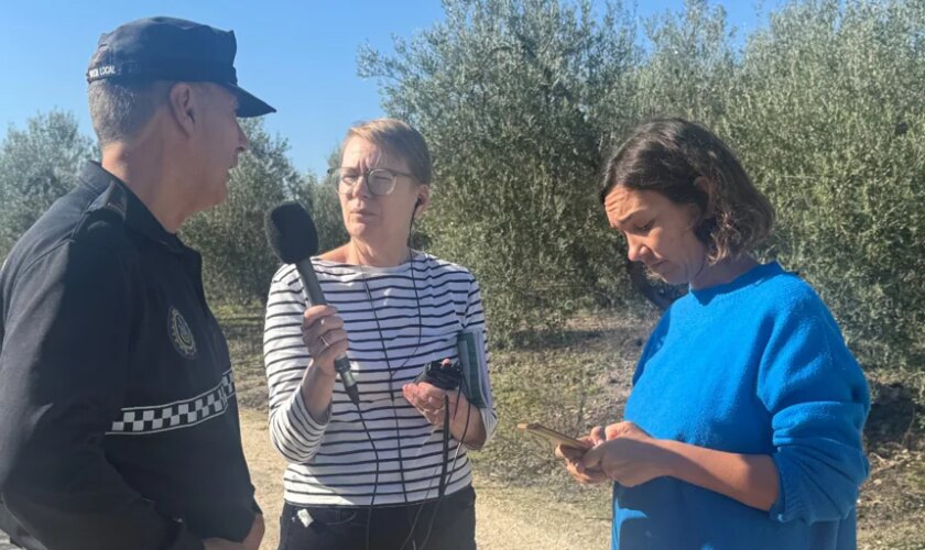 El reportaje de ABC que inspira un documental radiofónico de la BBC sobre la campaña de verdeo en Sevilla