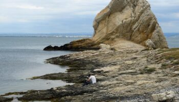 Étang de Berre : des pêcheurs revendent illégalement 24 tonnes de palourdes, le réseau démantelé