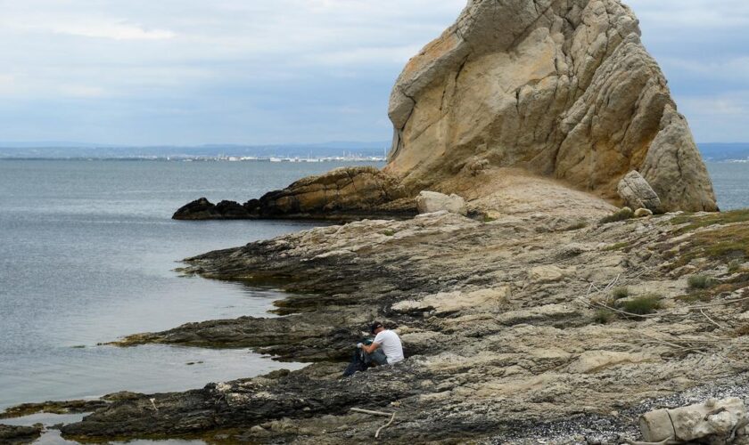 Étang de Berre : des pêcheurs revendent illégalement 24 tonnes de palourdes, le réseau démantelé