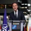 Faktencheck: Will NATO-Chef Rutte die USA aus dem Bündnis ausschließen?