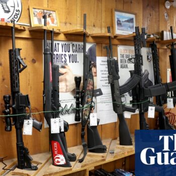 Federal judge strikes down Illinois assault weapons ban