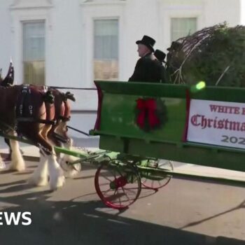 First Lady receives White House Christmas tree