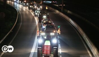 French Farmers protest EU-Mercosur trade deal