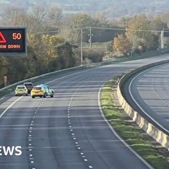 Girl who died after leaving police vehicle on M5 named